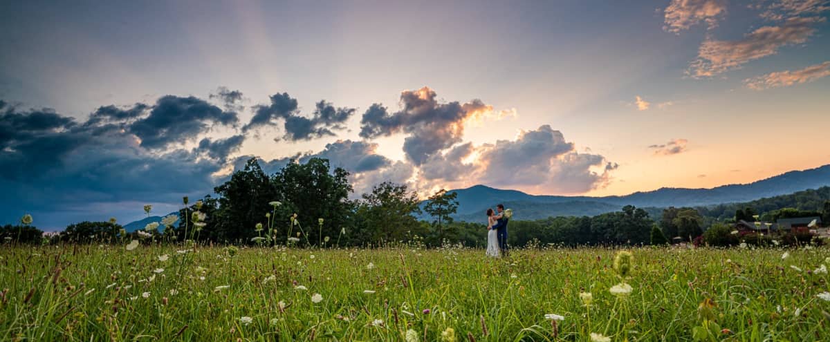 Great Engagement or Outdoor Shoot Location | 10 miles from Asheville in Candler Hero Image in undefined, Candler, NC