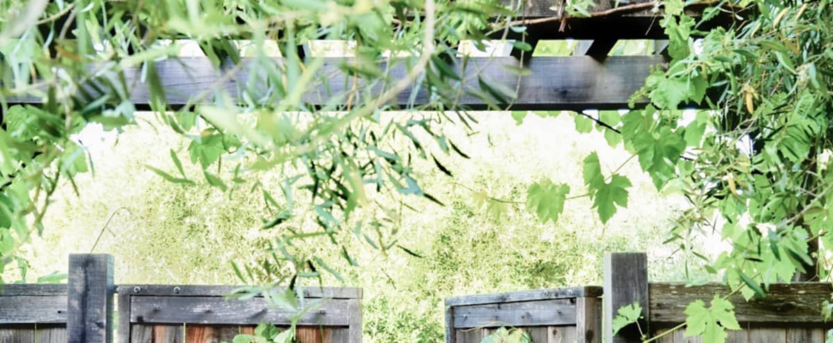 Vintage West Sonoma County Farmhouse With Barn And Guest Cottage Sebastopol Ca Event Peerspace