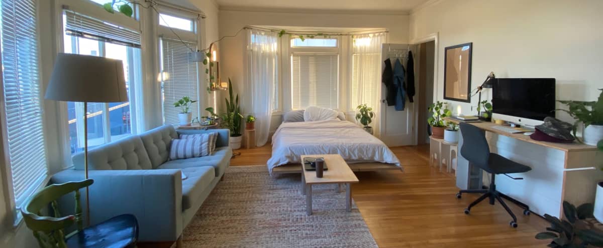 Sunny & Open Studio Apartment in Mission District in San Francisco Hero Image in Mission District, San Francisco, CA