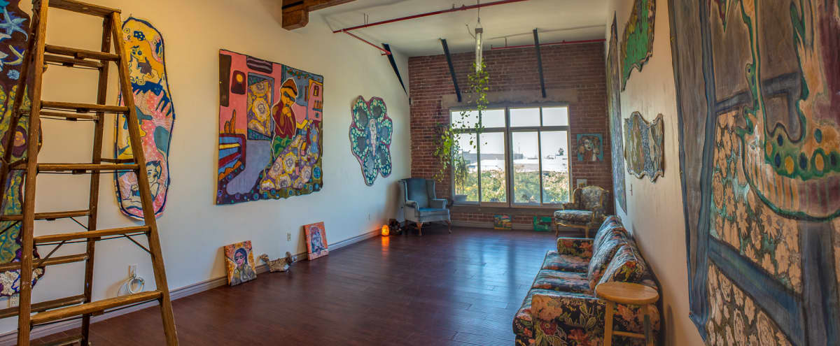 Professional Artist Gallery Colorful Studio W Natural Light