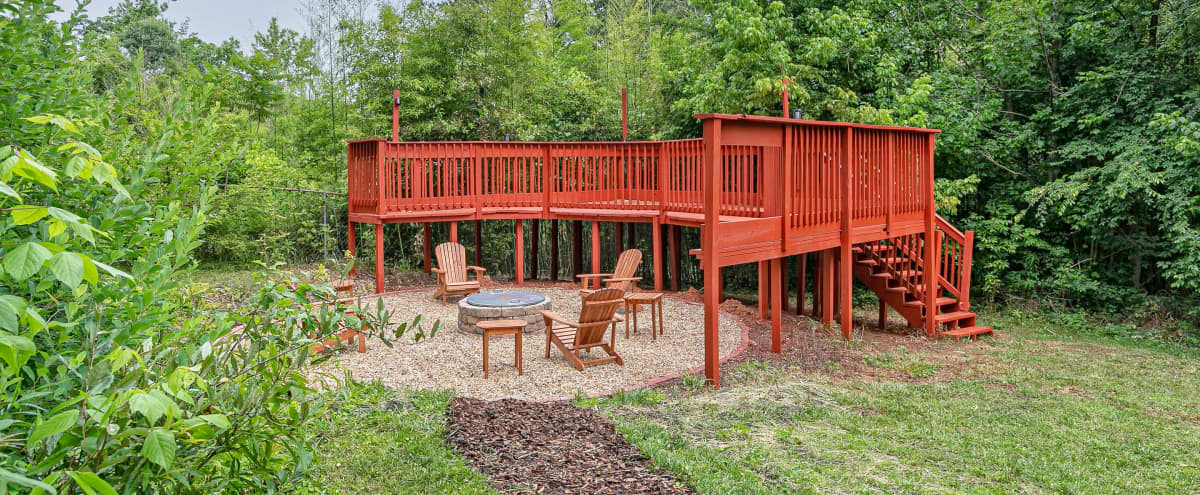 Western Suburb Rustic Backyard, Firepit, Bamboo Forest in Austell Hero Image in Mableton, Austell, GA