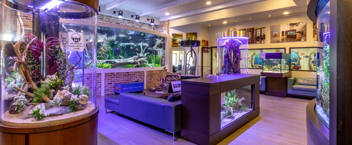 7500 Koleksi Aquarium Design Houston Gratis