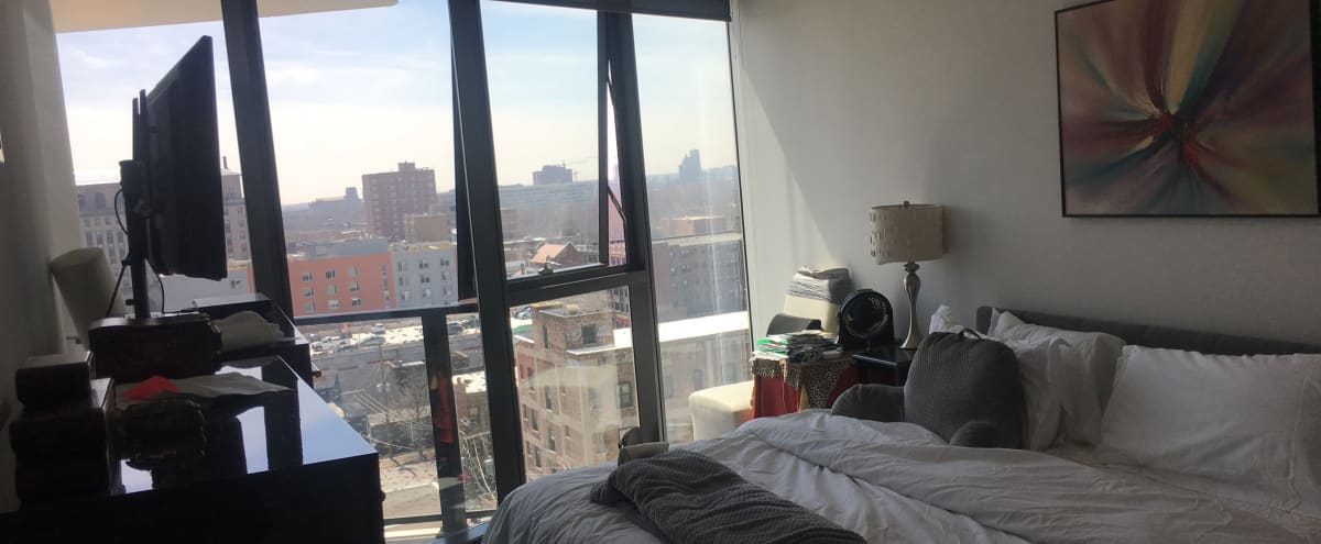 Contemporary Urban Film Location Hyde Park Apt Balconies Lake
