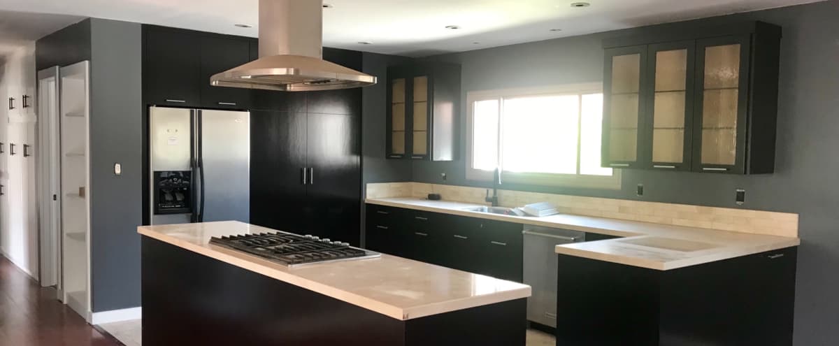 Modern Kitchen And Spacious Backyard Perfect For Filming El