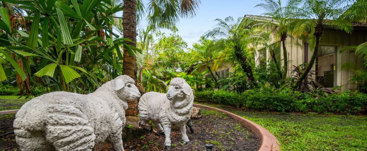 The Writer's Retreat: Lush Garden With Pool in Miami Hero Image in Coconut Grove, Miami, FL