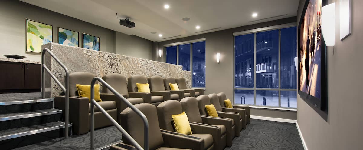 Theater Room In Alexandria