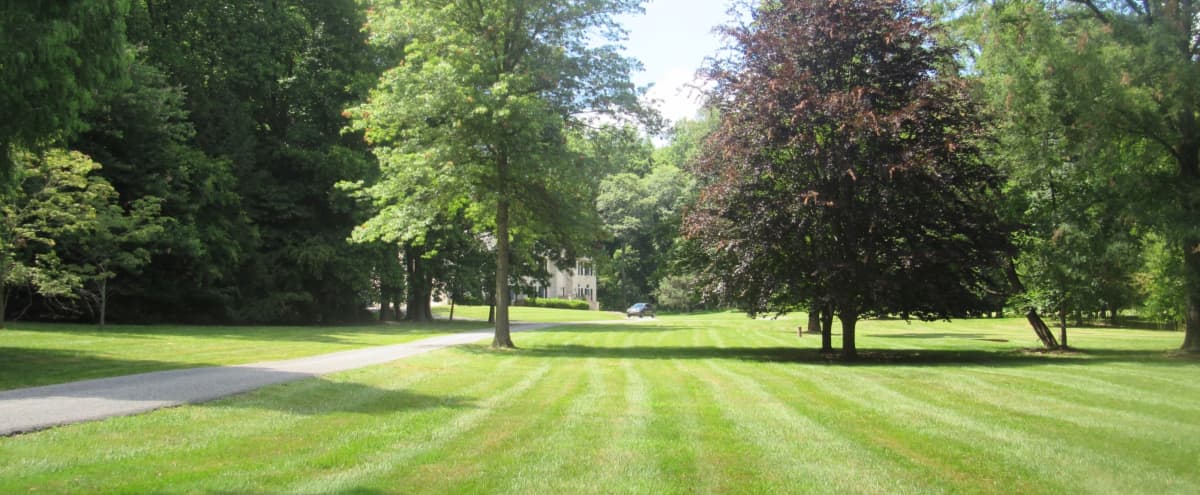Sprawling 5-acre Manicured Lawn with Picturesque Landscaping in Reisterstown Hero Image in undefined, Reisterstown, MD