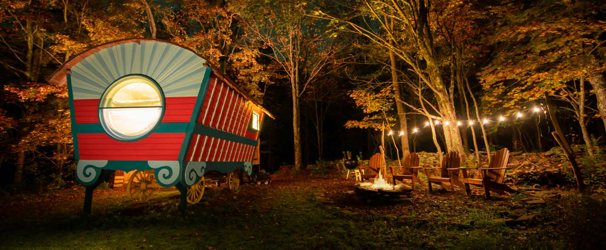 Unique Artisan Cabin in the Catskills Mountains in Roxbury Hero Image in undefined, Roxbury, NY