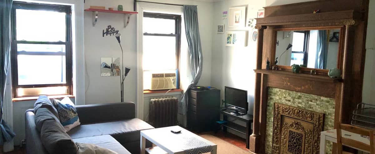 Large Brooklyn Apt Private Backyard Brooklyn Ny Production