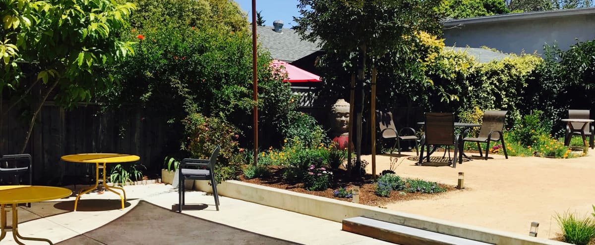 Gorgeous Spacious Outdoor Patio Perfect For Yoga Classes
