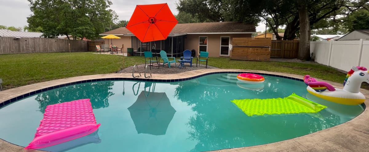 Colorful Home with Large Pool and Backyard in Seffner in Seffner Hero Image in Seffner Community Alliance, Seffner, FL