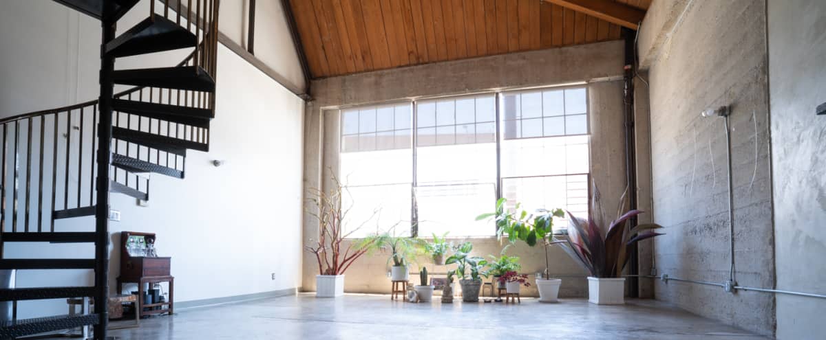 Artist Loft Gallery Creative And Holistic Healing Space