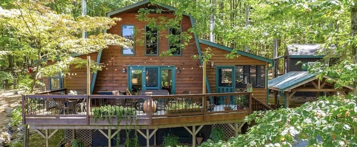 Private Rustic Chalet Style Cabin in the Woods in Ellijay Hero Image in undefined, Ellijay, GA