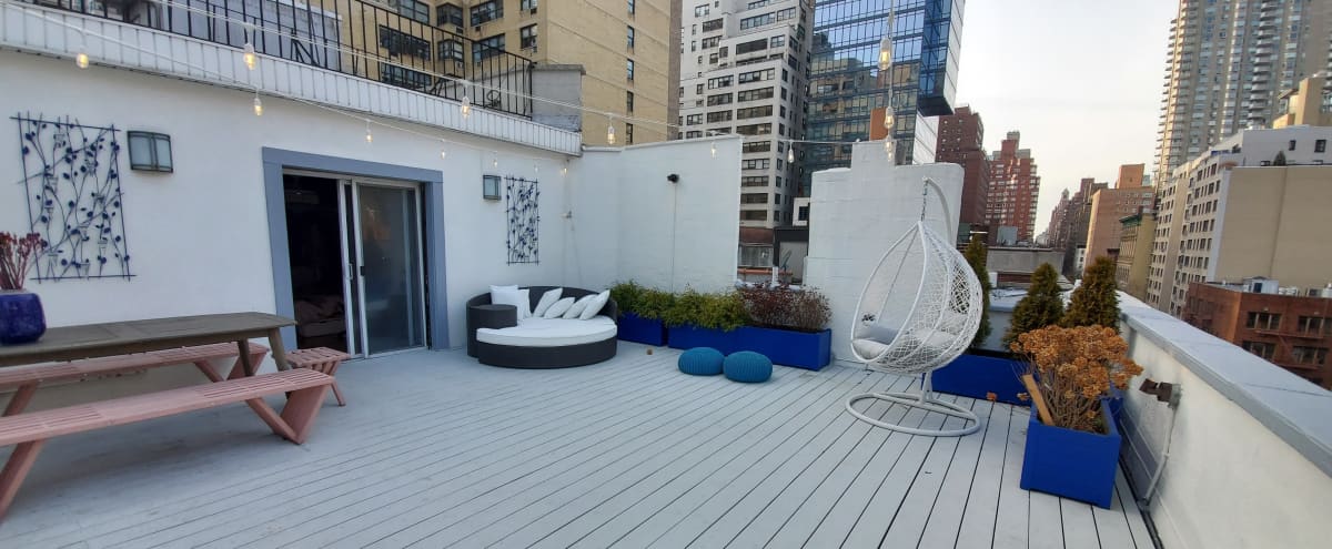 Image showcasing NYC Roof Deck Design & Landscaping | Amber Freda