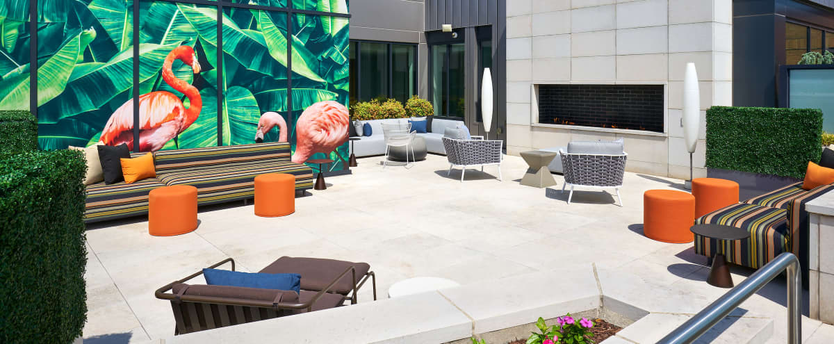 Rooftop Lounge and Dining Room with Stunning View of Down Town DC in Washington Hero Image in Cardozo Shaw, Washington, DC