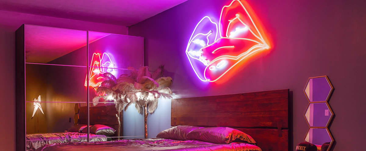 Sexy Neon Bird Themed Bedroom Set in Dallas Hero Image in Cedar Crest, Dallas, TX