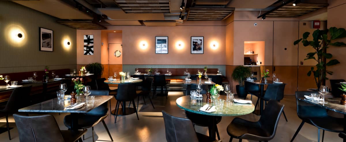 Stylish and Authentic Italian Brasserie in London Hero Image in South Hampstead, London, 