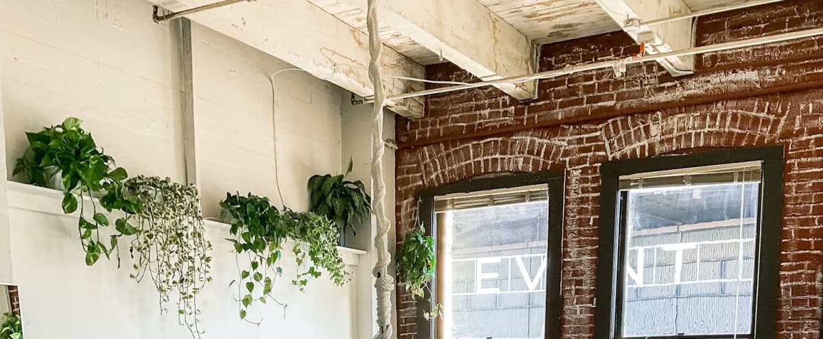 *NEW* Plant-filled loft located in Pioneer Square with Boho aesthetic and tons of natural light in Seattle Hero Image in Downtown Seattle, Seattle, WA