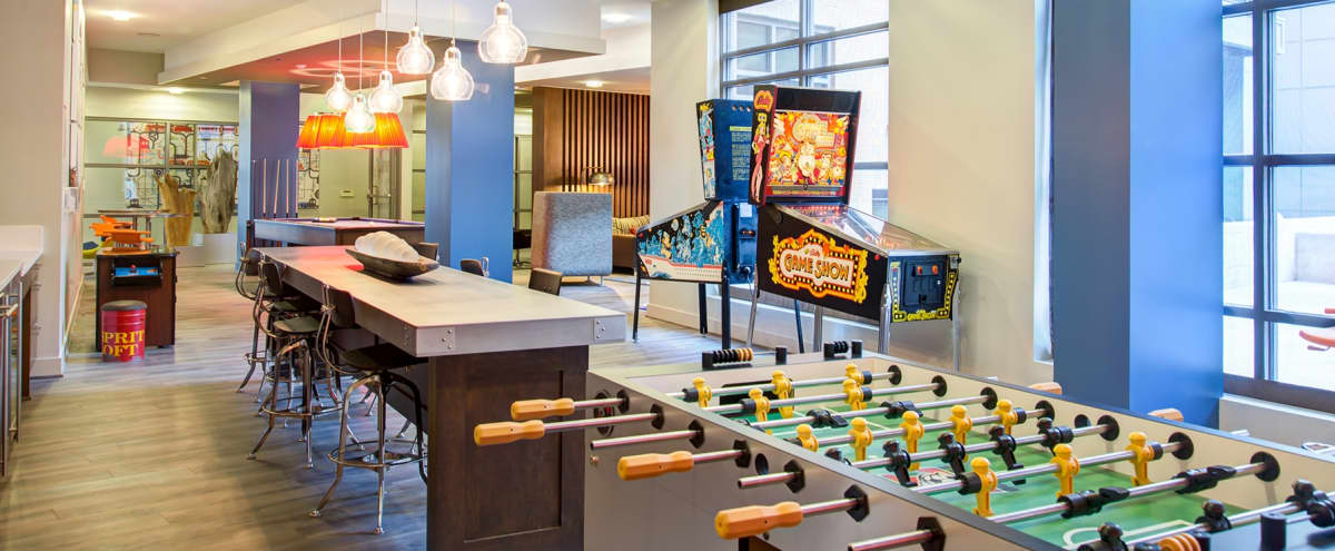 Open Game Room With PinBall/ Arcade Games, Shuffleboard and Wet Bar Perfect for Your Next Event! in Alexandria Hero Image in Potomac Yard, Alexandria, VA