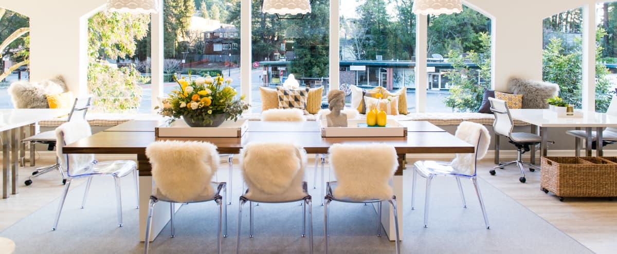 Beautiful Light And Art Filled Workspace In Downtown Mill Valley Mill Valley Ca Off Site Peerspace