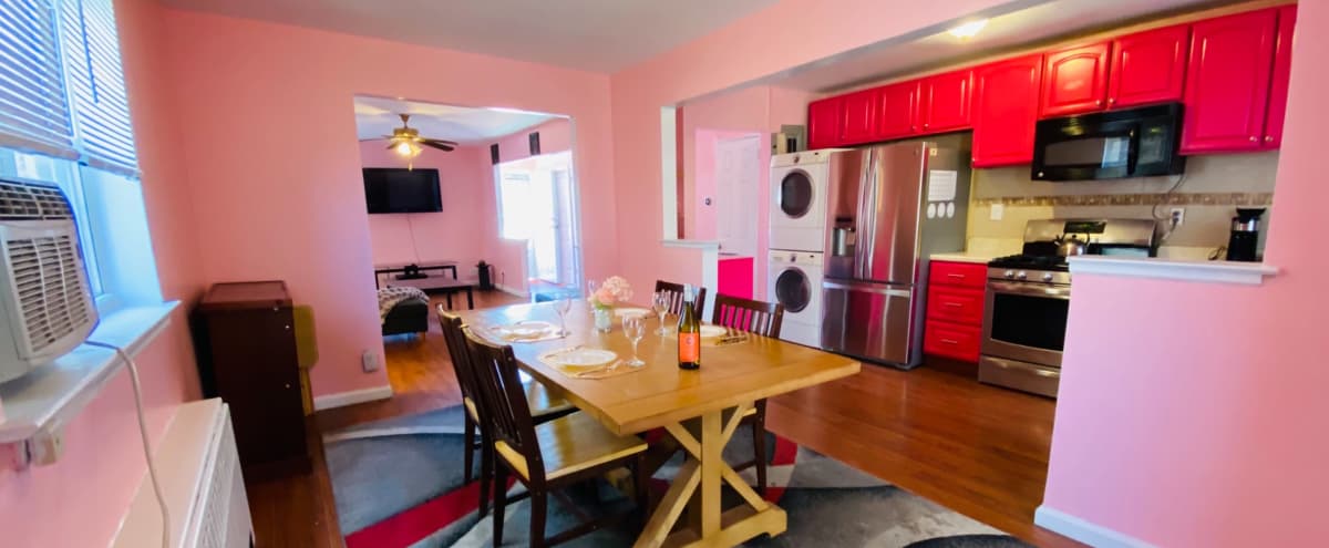 🌸Pink Paradise🌸 4 Bdrm with Backyard in Bronx Hero Image in Allerton, Bronx, NY