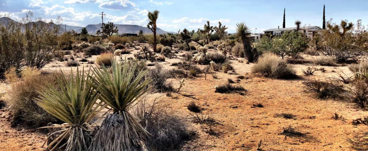 5 Acres Land in Joshua Tree with Shasta trailer, Airstream and Cabin in yucca valley Hero Image in undefined, yucca valley, CA