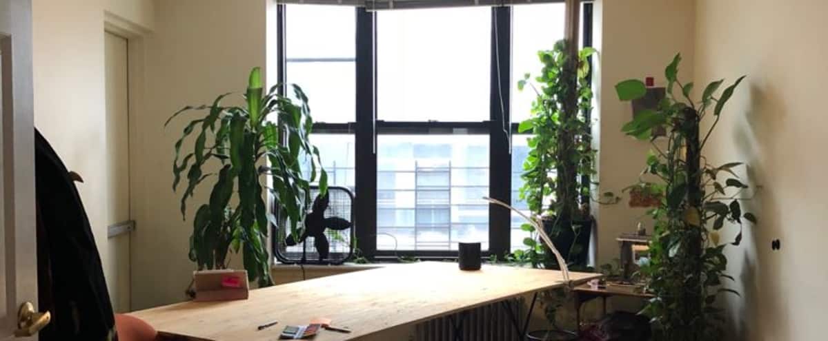 Plant Filled Bright Spacious Apartment Open Kitchen Living Room Room View New York City Ny Production Peerspace