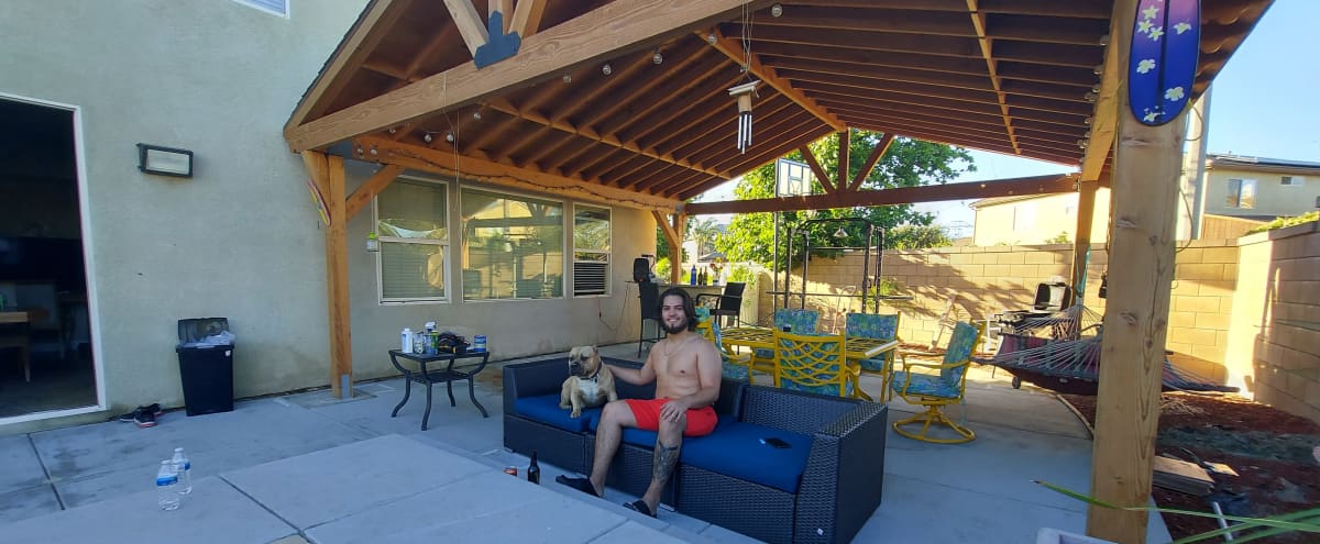 Spacious Enclosed Patio with Bar and Pool in eastvale Hero Image in Eastvale Downs, eastvale, CA