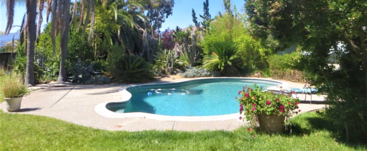 Luxury Home, Pool, and Tropical Paradise in San Jose Hero Image in Edenvale, San Jose, CA