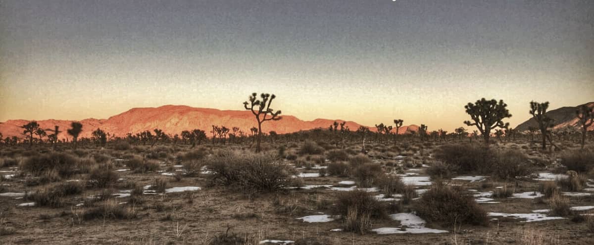 Desert Art Inspirational Venue In Joshua Tree Yucca Valley Ca Event Peerspace