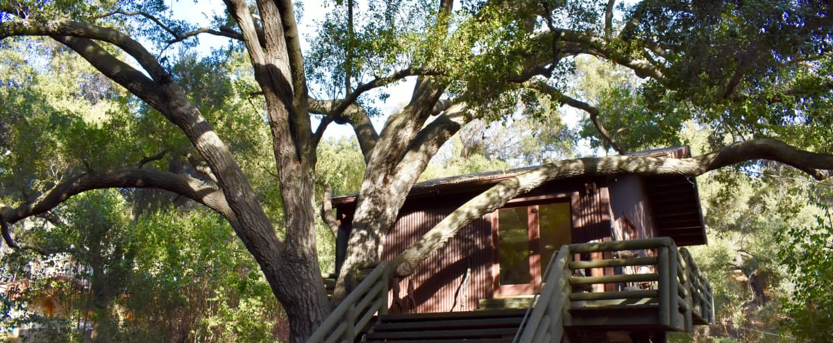 Artist studio/ Treehouse Cabin on Bucolic Property in Topanga Hero Image in undefined, Topanga, CA