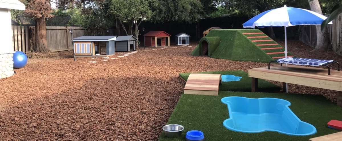Ultimate Dog Paradise Property Pasadena Ca Production Peerspace