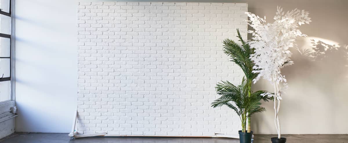 Hill 3 Spacious Bright Studio With Mirror Wall And Double Sided