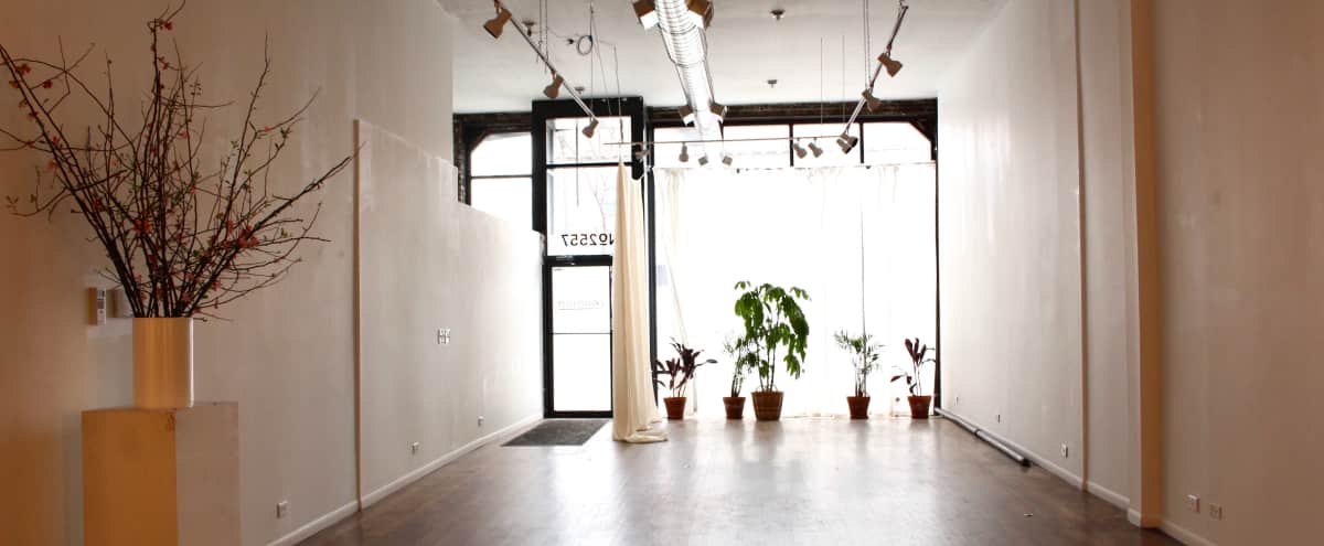 Art Gallery Event Space in Humboldt Park Chicago IL Art Gallery Event Space in Humboldt Park Chicago IL