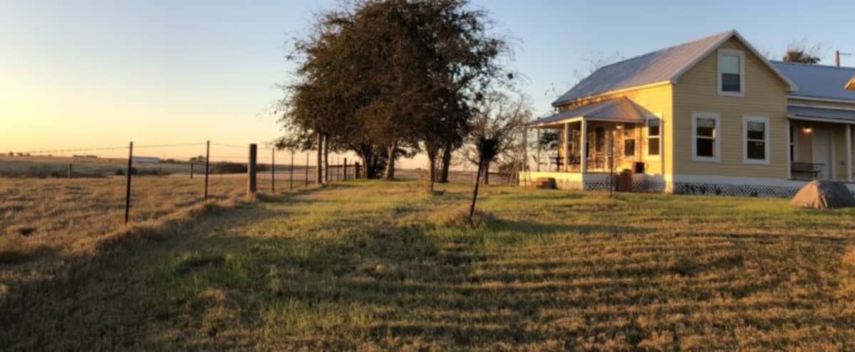 1890 farmhouse, 100 year old red barn, 130 acres with flowers, cows grasses, La Grange, TX