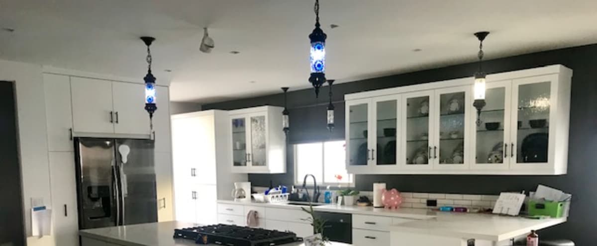 Newly Remodeled Spacious Kitchen And Living Area Perfect For
