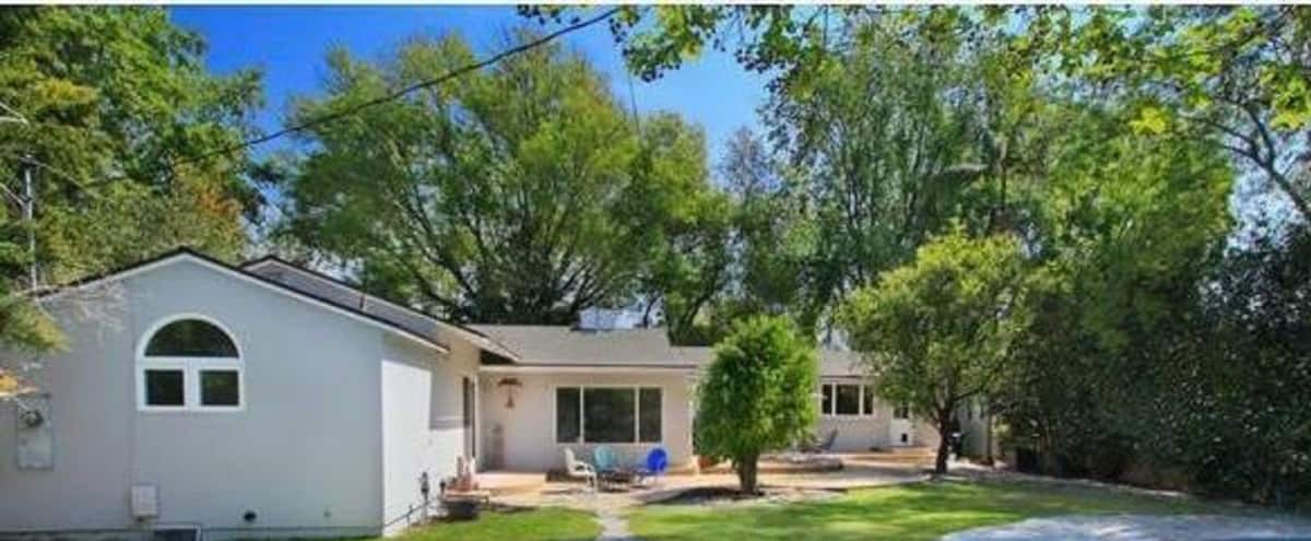 Suburban Americana With Large Backyard And Pool Valley Glen Ca