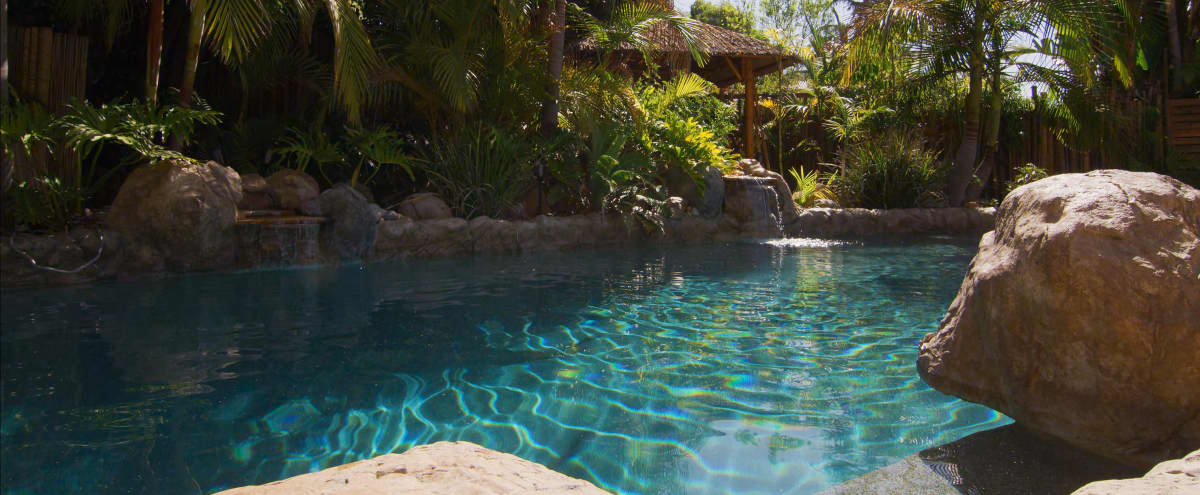Lush Tropical Theme including Lagoon Pool w/ Waterfalls & Baja Shelf, Bamboo Palapa, White Sand Beach, Outdoor Bar/Dining & Exotic Treehouse in San Marcos Hero Image in undefined, San Marcos, CA