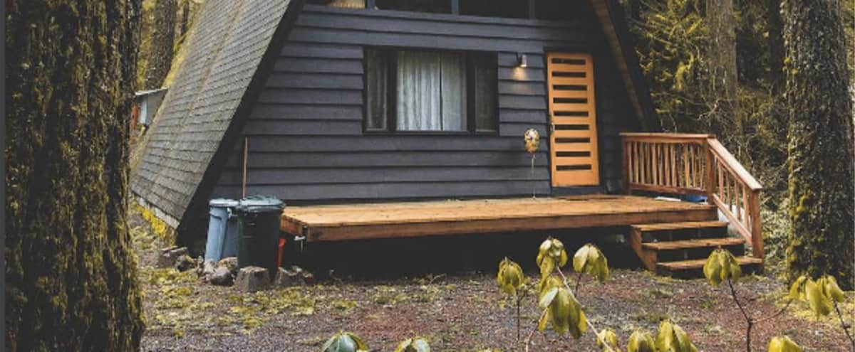 Well Designed Modern A Frame Cabin On Mt Hood Rhododendron Or