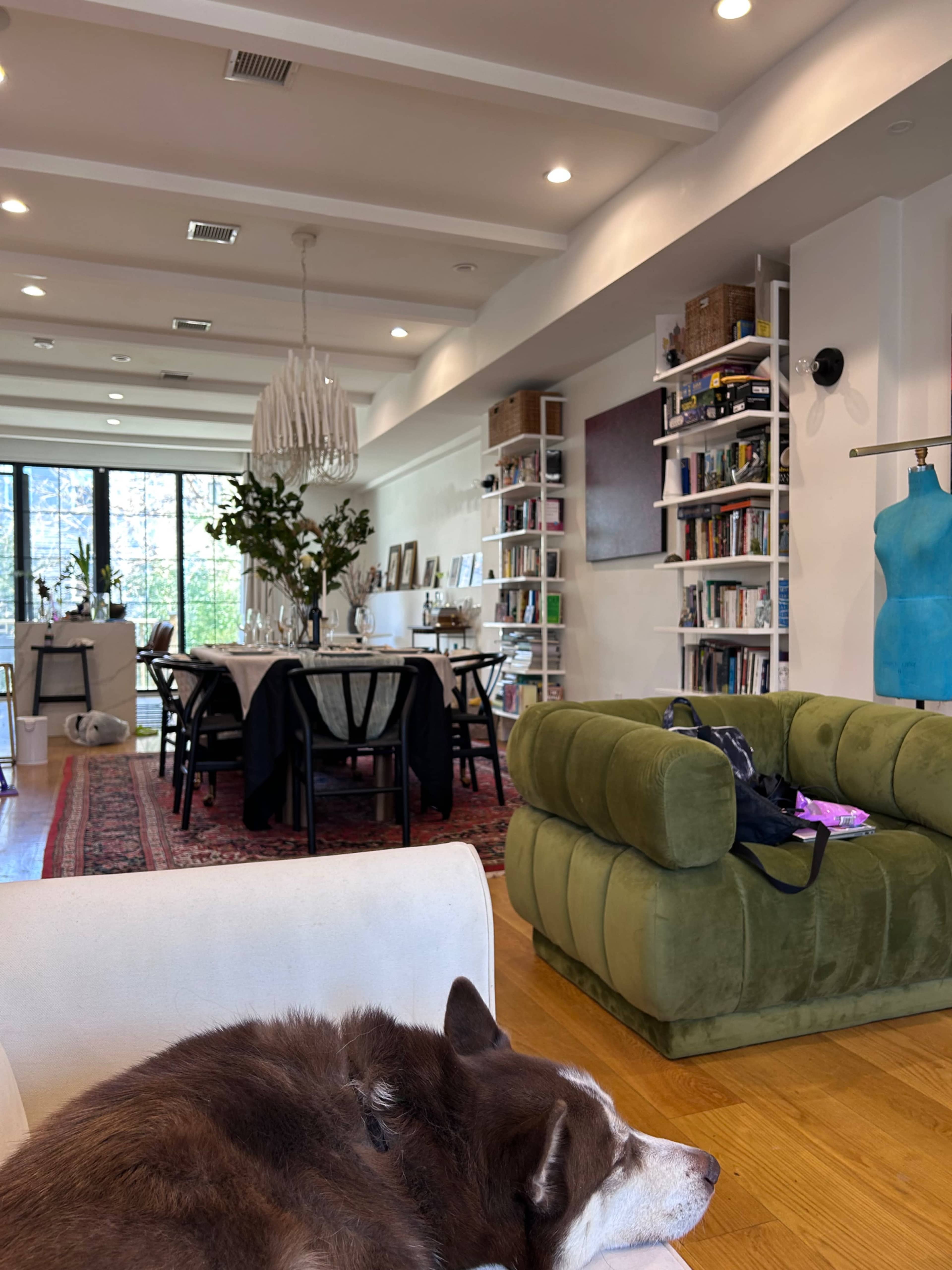 A spacious, modern living area features a dark green sofa, a dining table set for meals, and bookshelves filled with books, while a dog rests on the floor.
