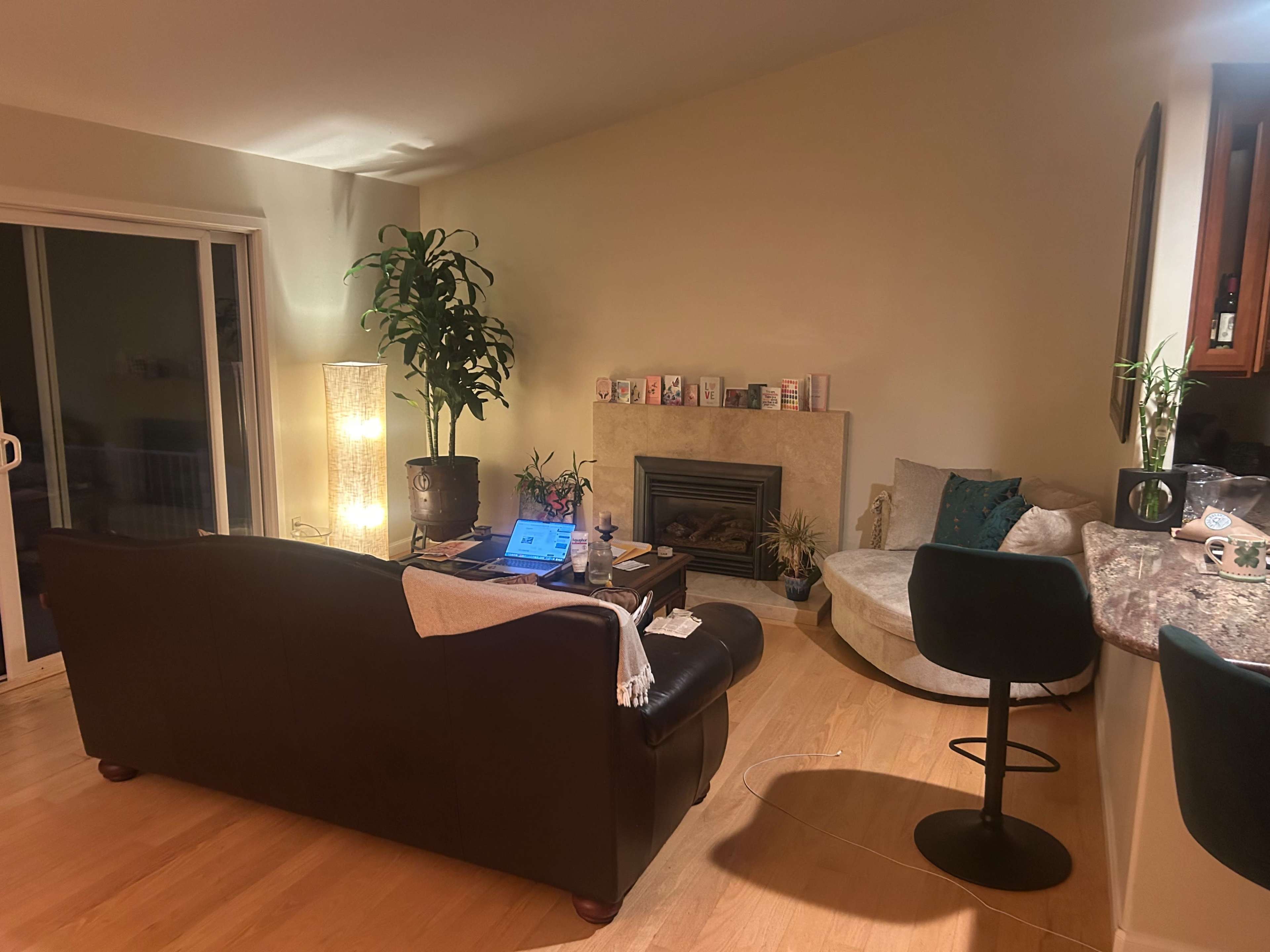The image shows a living room with a dark leather sofa, a fireplace, a tall plant, and a cozy seating area next to a kitchen counter.