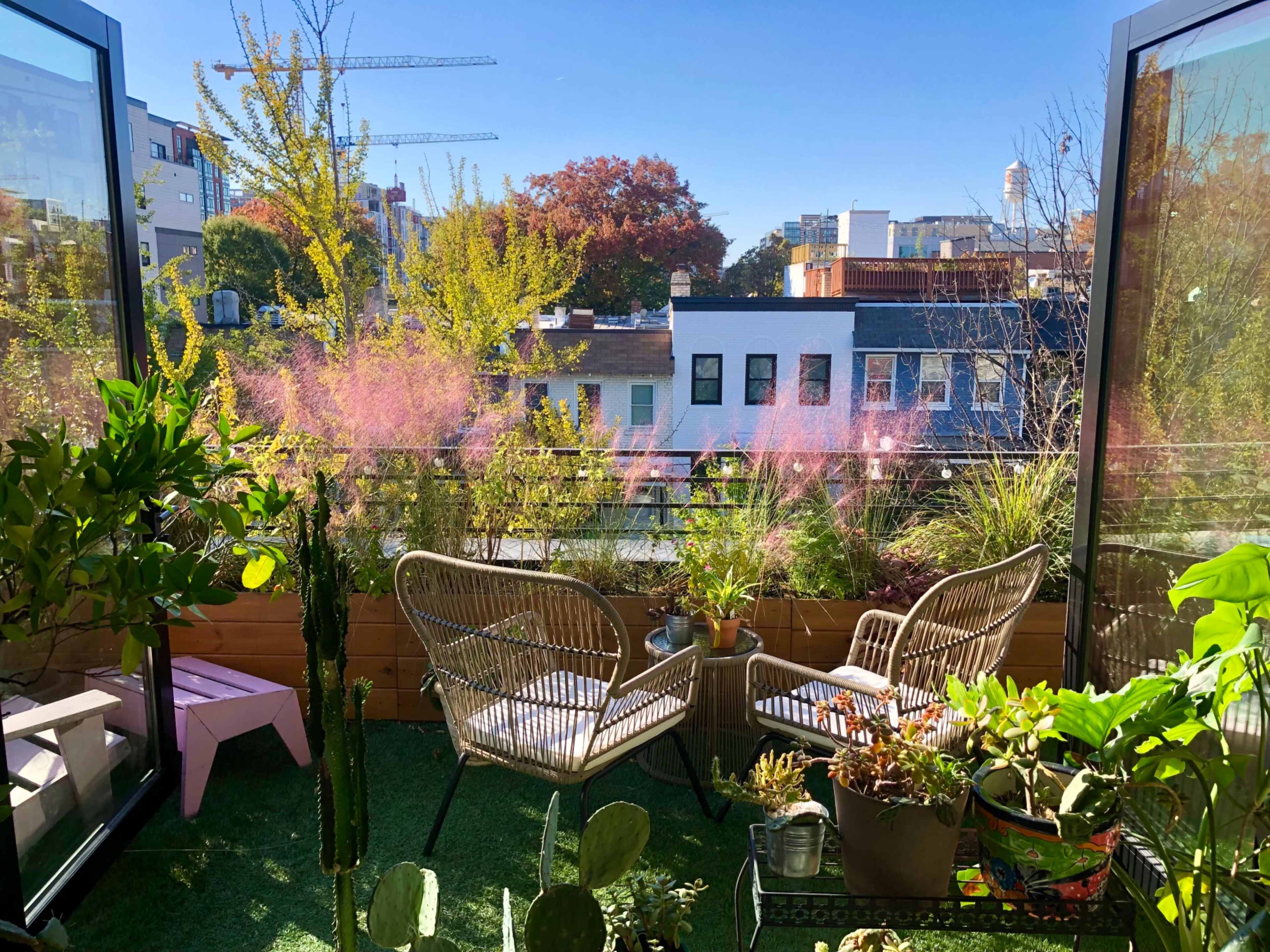 A small balcony features two chairs surrounded by various plants and greenery under a clear blue sky.