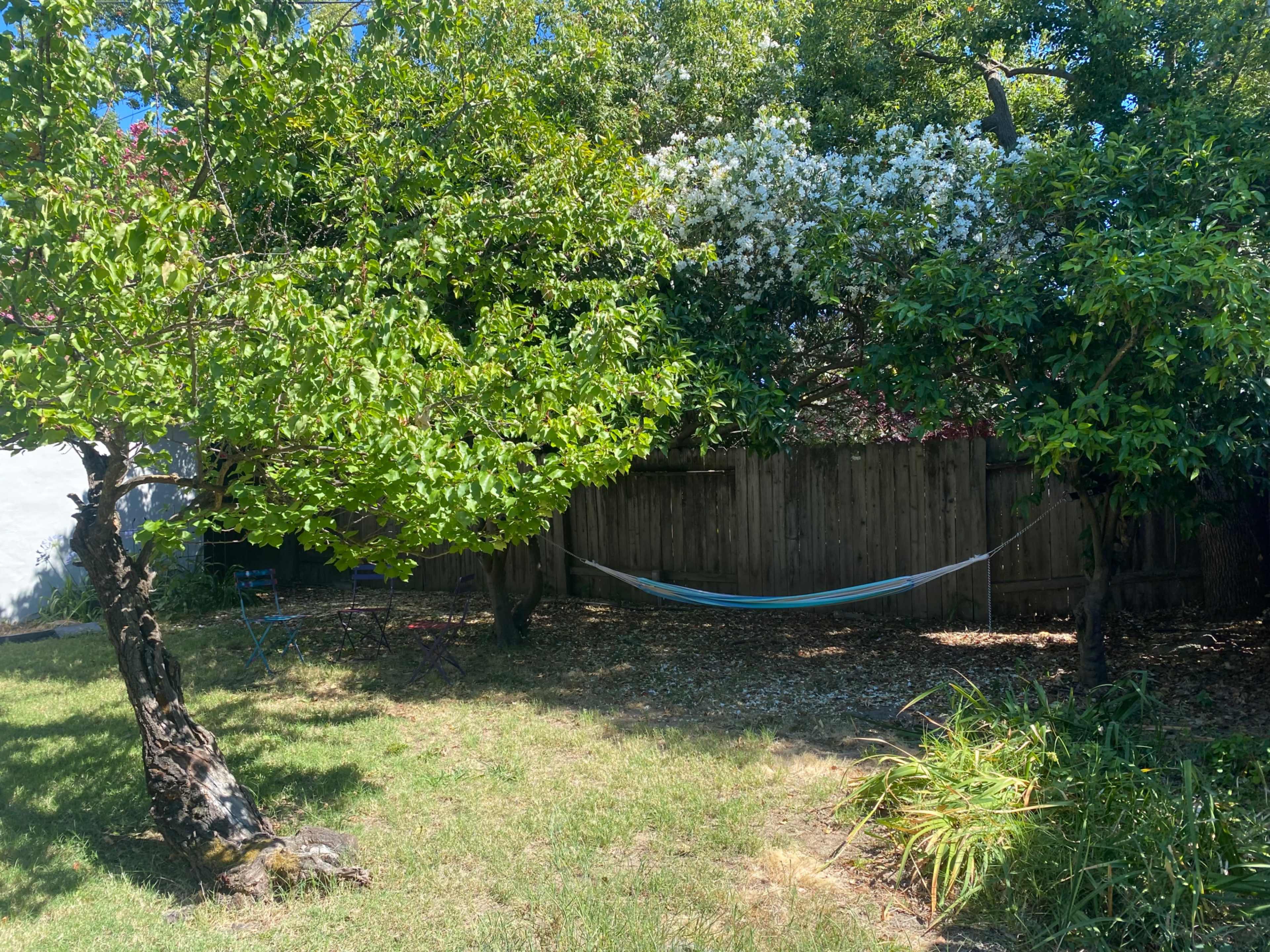 The image shows a backyard with two trees and a hammock strung between them.