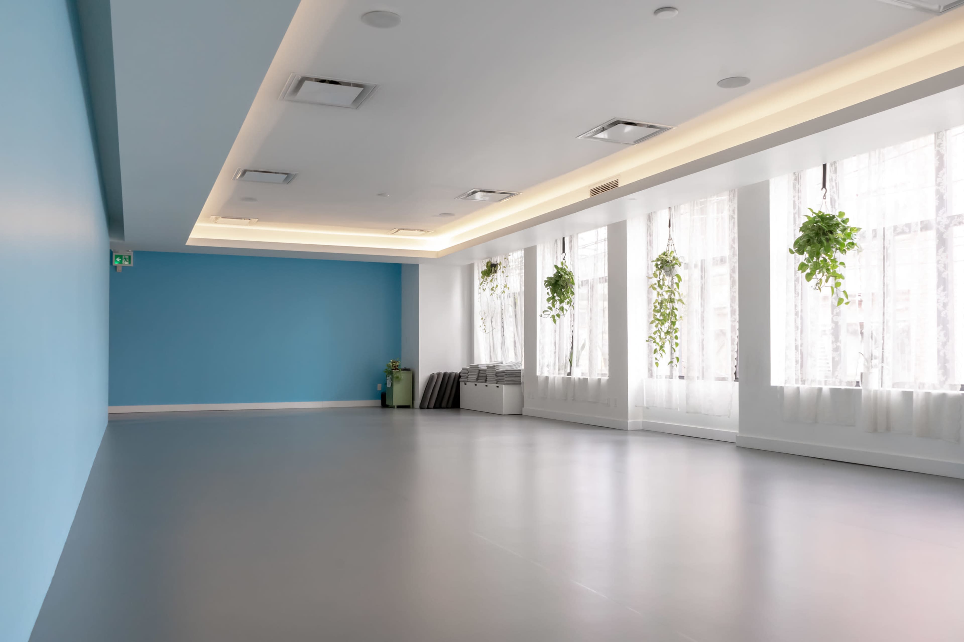 A spacious, minimalist room with light gray flooring, blue accent walls, and large windows adorned with hanging plants.