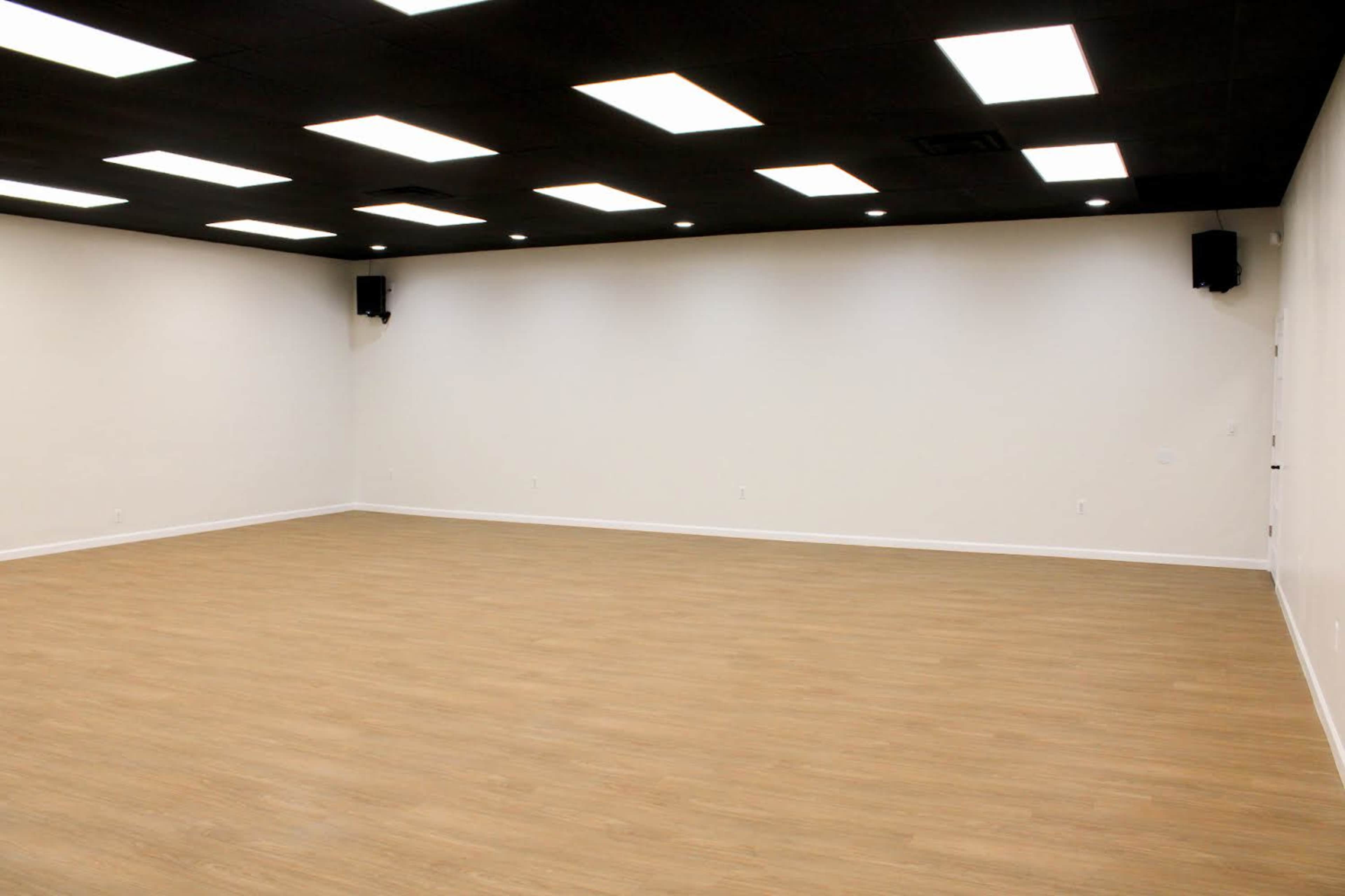 The image shows a spacious, empty room with a light-colored wooden floor and a black ceiling featuring rectangular lights.