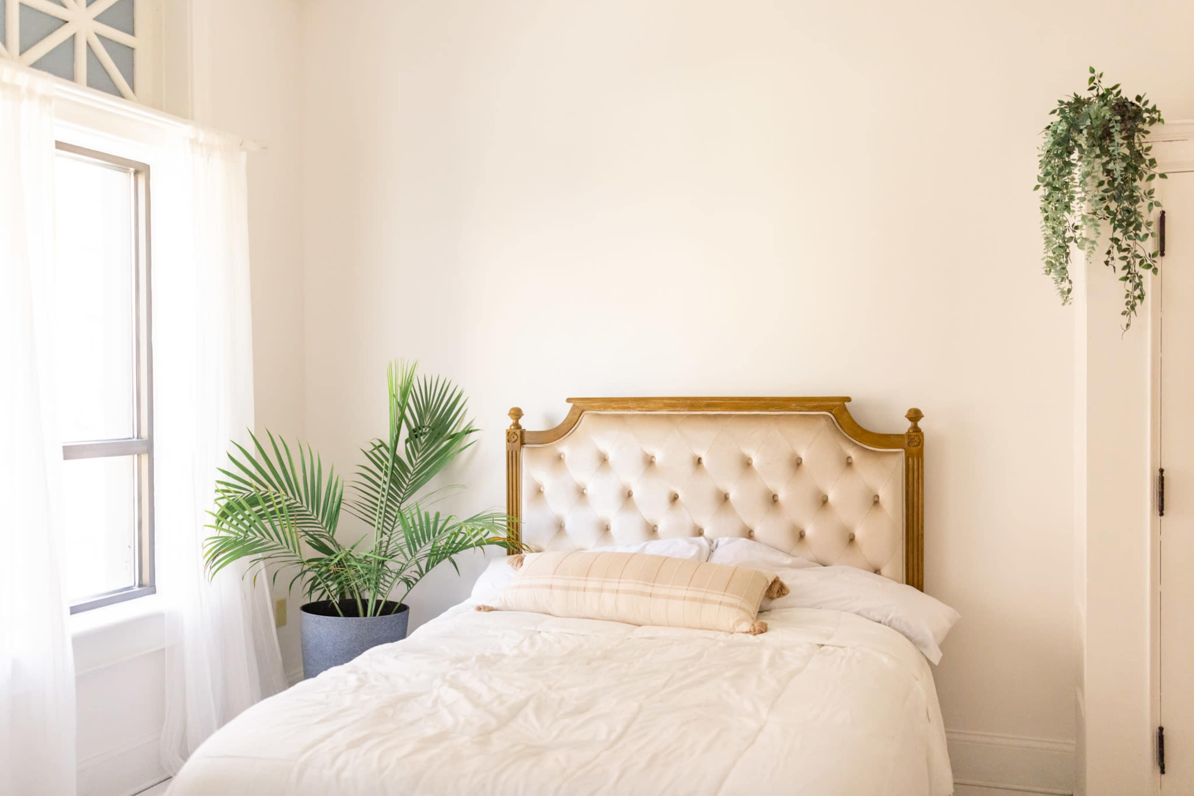 A light-filled bedroom features a tufted headboard, a neatly made bed with a decorative pillow, and a potted plant in the corner.