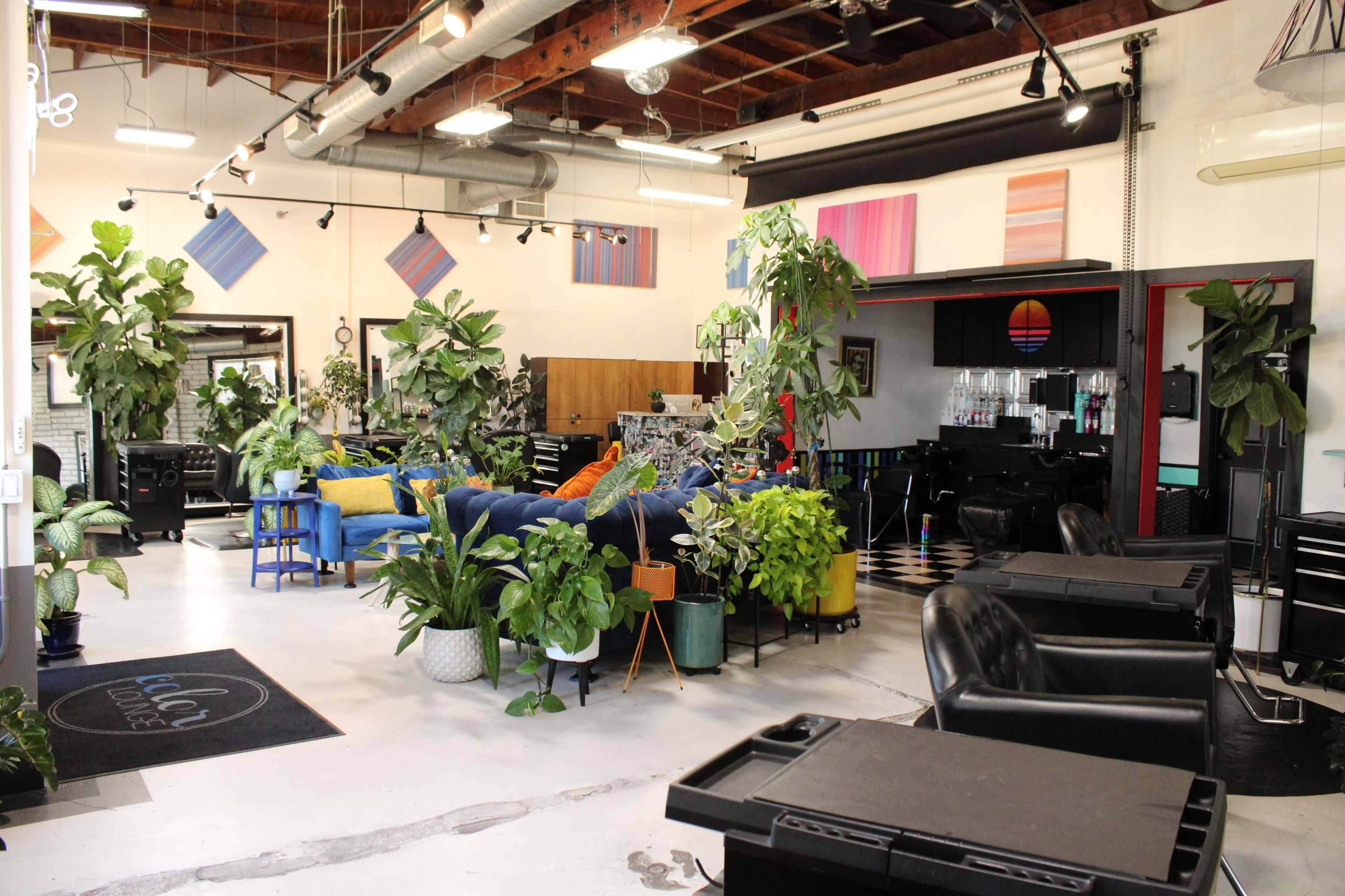 The image shows a spacious salon interior filled with plants, colorful decor, and various seating areas.