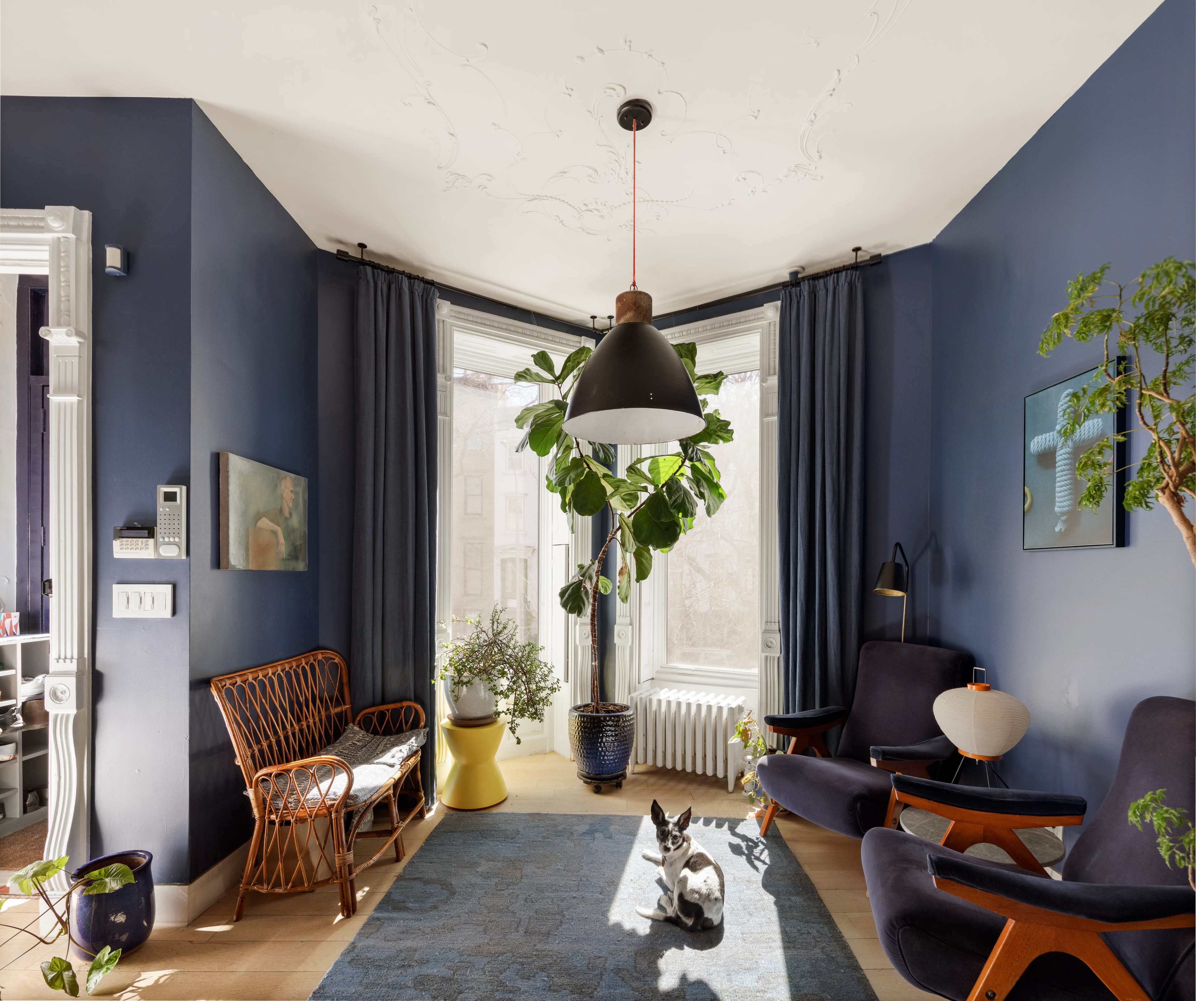 Brooklyn Bliss: Luxe & Leafy Retreat in Park Slope Image in Park Slope, Brooklyn, NY