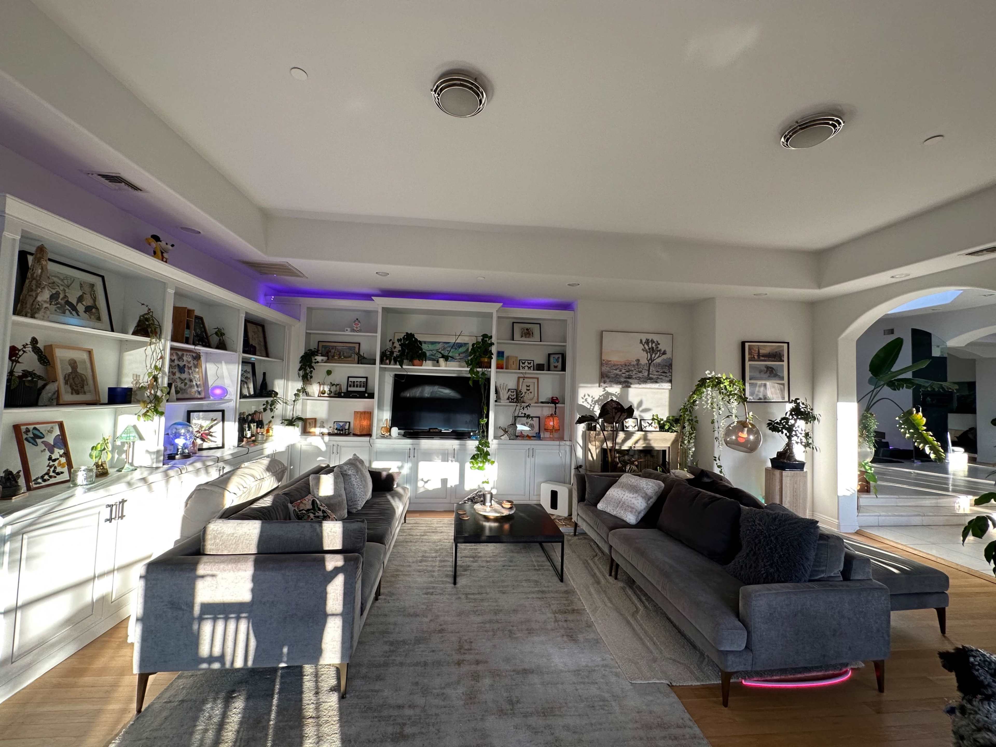 A modern living room features two gray sofas, a coffee table, shelves filled with decorative items, and a television set against a softly lit backdrop.