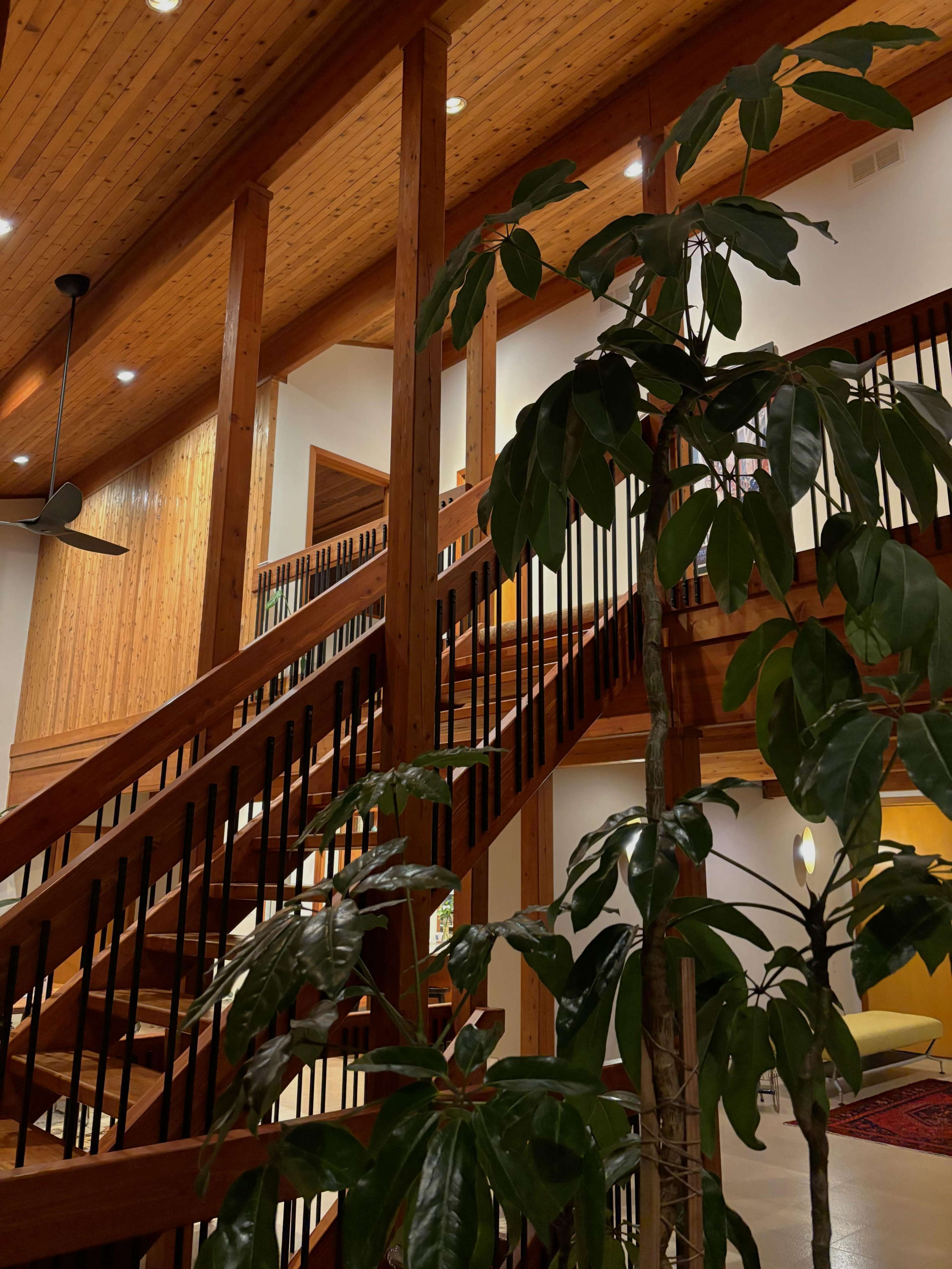 Suburban home in garden setting with lofty, bright and woodsy interior spaces Image in Lyons Township, BURR RIDGE, IL